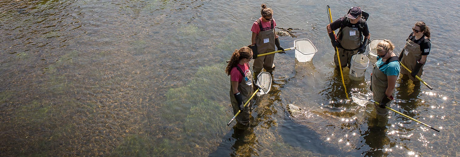 Students in the field