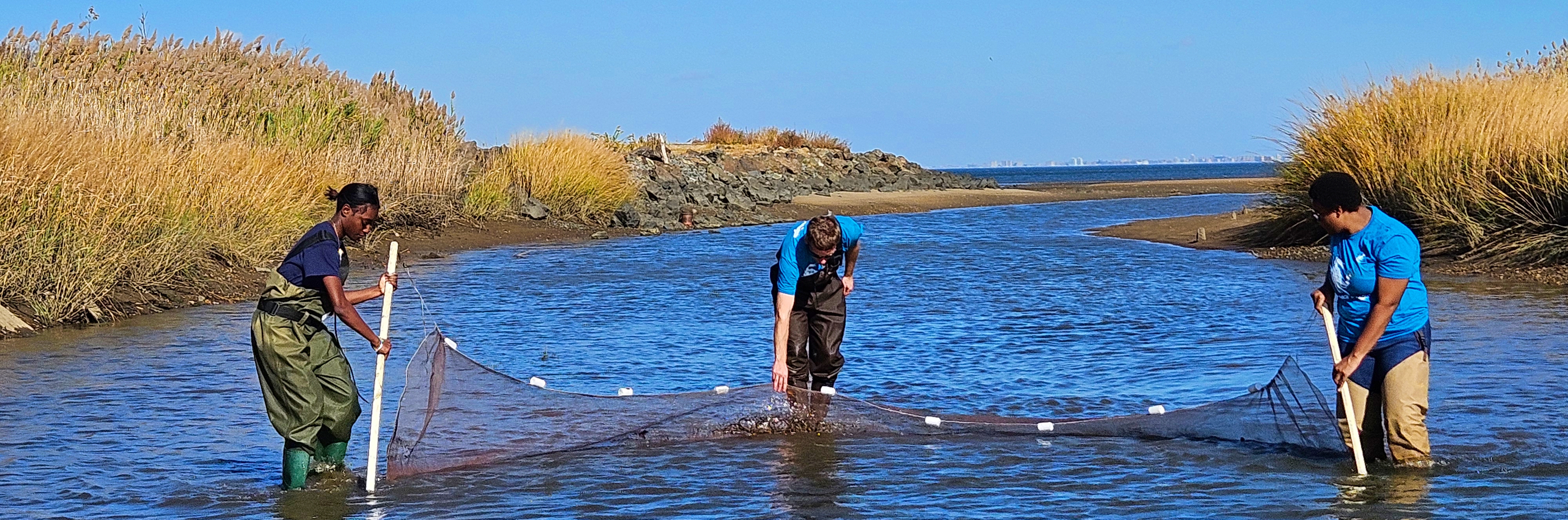 Students in the field